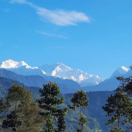 Red Panda Jungle Camp - A Unit Of Davinchi Homes Pvt Ltd Gyalshing Exteriör bild