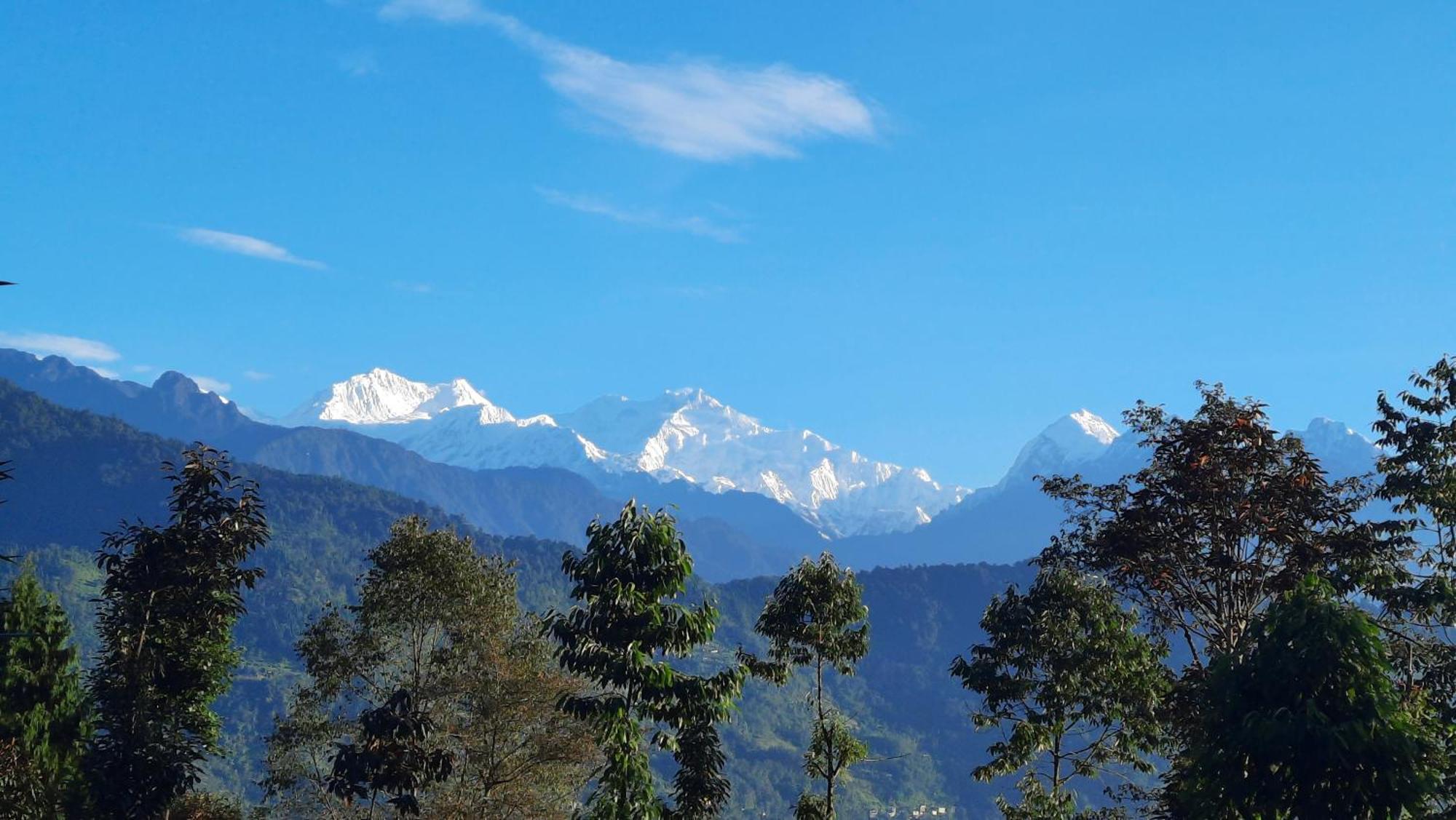 Red Panda Jungle Camp - A Unit Of Davinchi Homes Pvt Ltd Gyalshing Exteriör bild